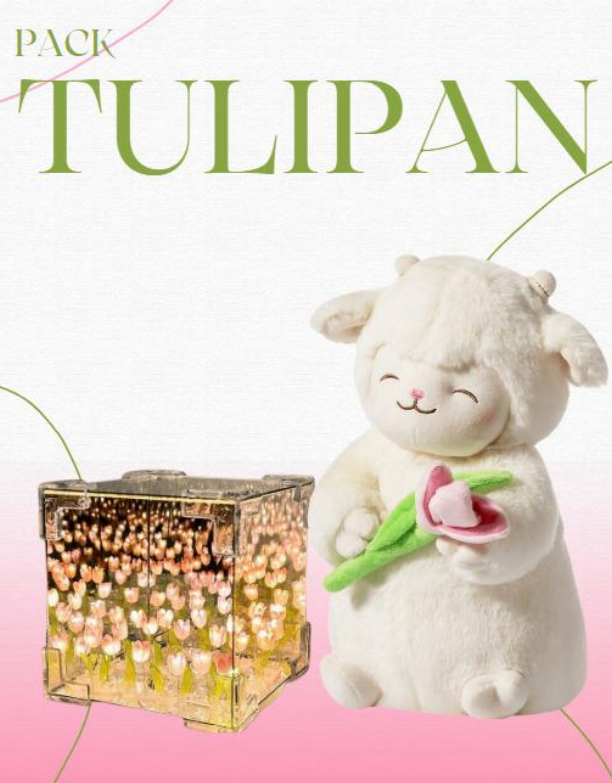 PELUCHE CORDEITO TULIPAN + TULIPAN INFINITO CAJA DE REGALO